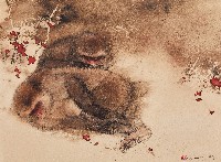 藏品(同伴)的圖片