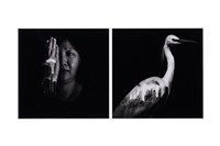 藏品(看見的，看不見-2)的圖片