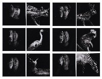 藏品(看見的，看不見)的圖片