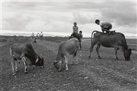 藏品(黃昏堤上)的圖片