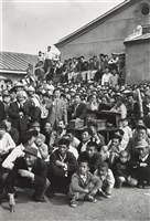 藏品(觀眾)的圖片