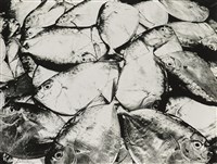 藏品(魚之對話A dialogue)的圖片