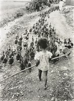 藏品(趕鴨子A duck breeding boy)的圖片
