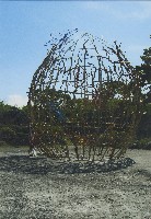 藏品(無題)的圖片