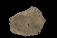 藏品(鐵質隕石)的圖片