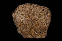 藏品(石鐵質隕石)的圖片