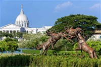 藏品(跳躍的飛羚)的圖片