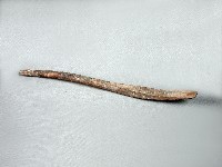 藏品(炊事木杓)的圖片