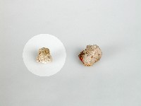 藏品(石英石)的圖片