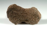 藏品(石斧 )的圖片