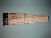 藏品(丁字褲)的圖片