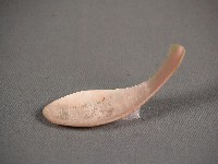 藏品(貝匙)的圖片