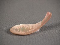 藏品(貝匙)的圖片