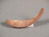 藏品(貝匙)的圖片