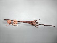 藏品(五年祭用具-刺桿)的圖片