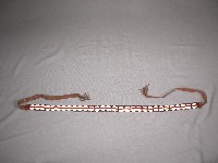 藏品(貝帶)的圖片