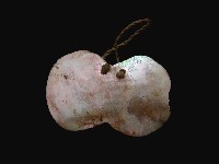 藏品(女耳飾)的圖片