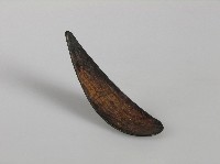 藏品(匙)的圖片