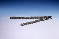 藏品(肩帶)的圖片