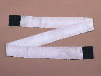 藏品(丁字褲 )的圖片