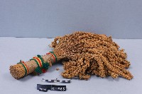 藏品(小米穗)的圖片