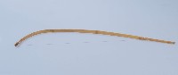 藏品(弓琴)的圖片