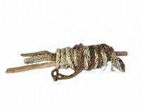 藏品(槳架 )的圖片