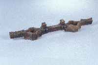 藏品(連杯)的圖片