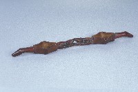 藏品(連杯)的圖片