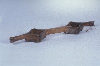 藏品(連杯)的圖片