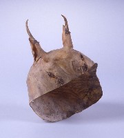 藏品(羌帽)的圖片