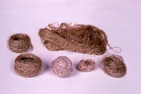 藏品(線團)的圖片