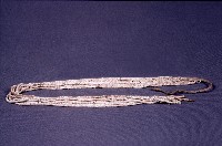 藏品(珠條束)的圖片