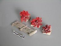 藏品(八角斗)的圖片