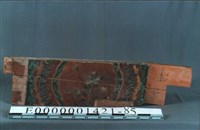 藏品(束木)的圖片