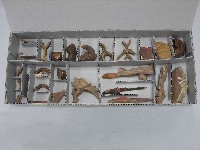 藏品(門對)的圖片