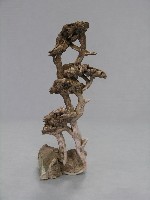 藏品(鐵弓緣 )的圖片