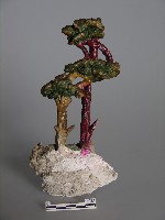 藏品(梅山收七怪 )的圖片