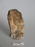 藏品(梅山收七怪 )的圖片