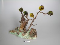 藏品(別徐庶)的圖片