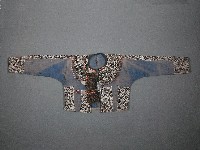 藏品(山地衣)的圖片