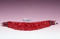 藏品(琉璃珠(頸飾))的圖片