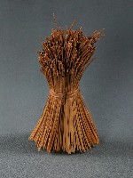 藏品(小米桿)的圖片