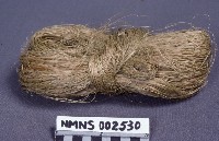 藏品(苧麻)的圖片