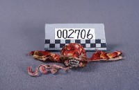 藏品(布袋戲道具(帽))的圖片