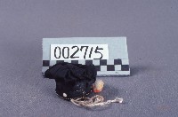 藏品(布袋戲道具(帽))的圖片