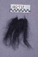 藏品(布袋戲道具(鬚))的圖片