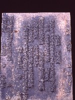 藏品(疏文板)的圖片