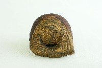 藏品(木魚)的圖片