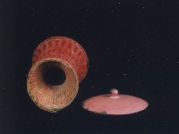 藏品(祭器-蓋)的圖片